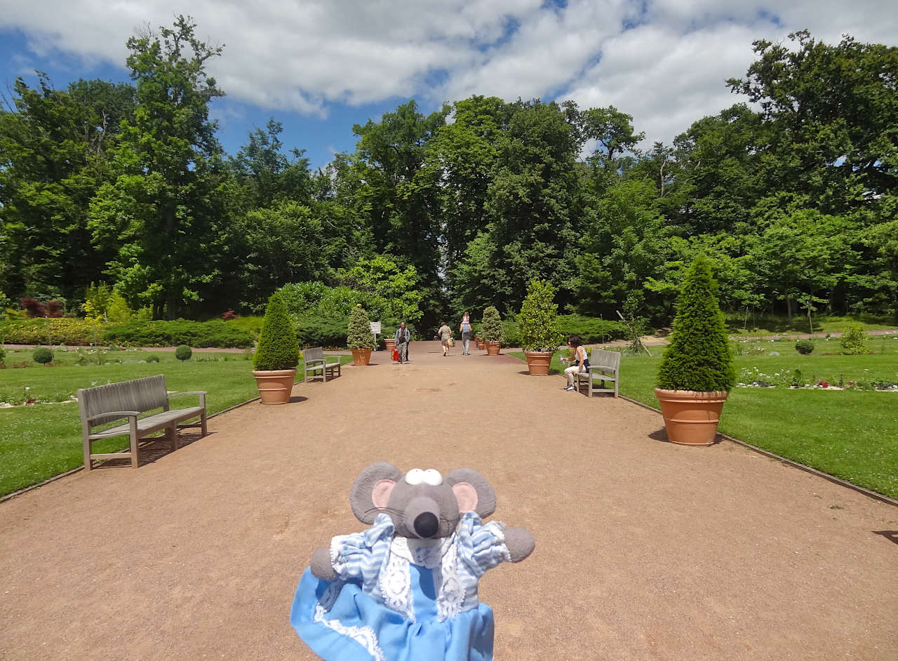 parc floral de la Source à Orléans