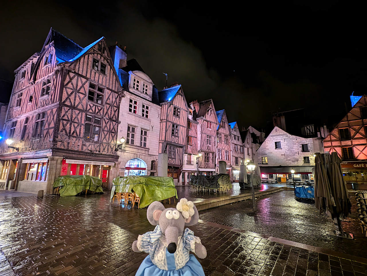 place Plumerau de Tours