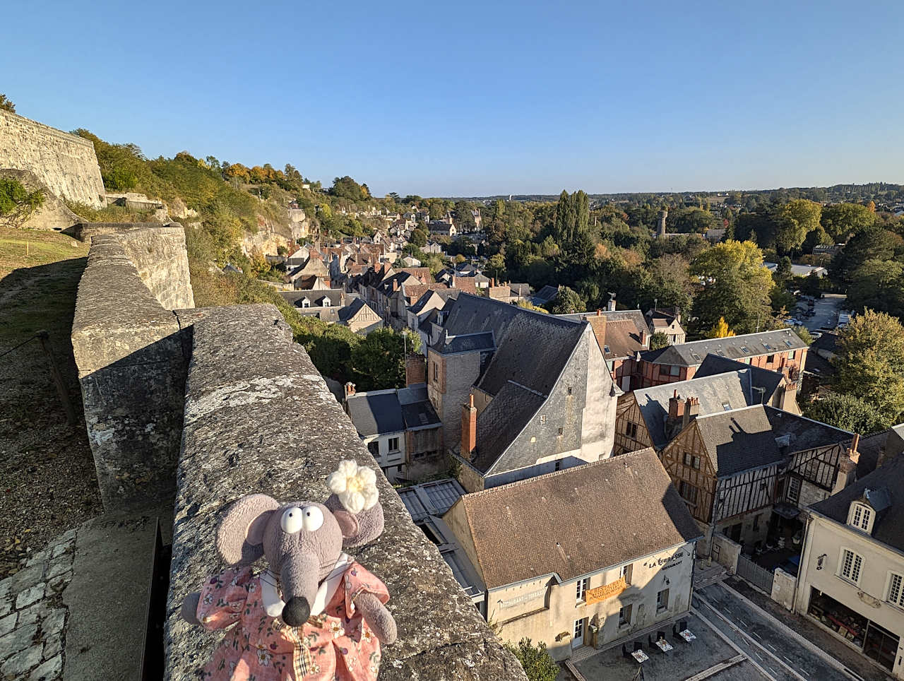 vue sur Amboise