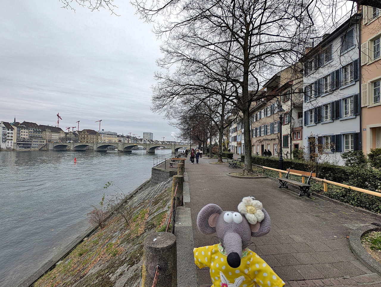 Bord du Rhin à Bâle