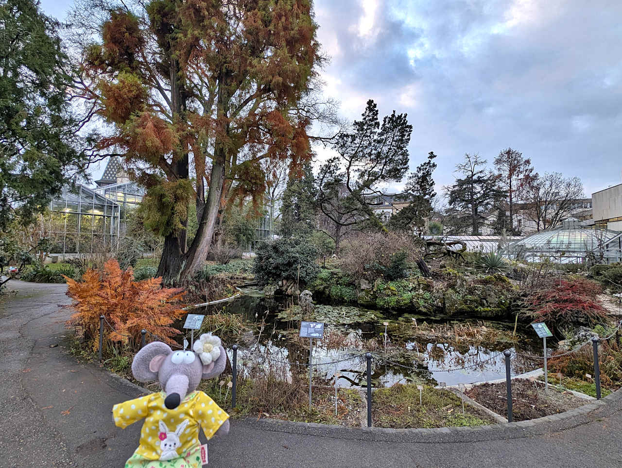 Jardin botanique de l’Université de Bâle