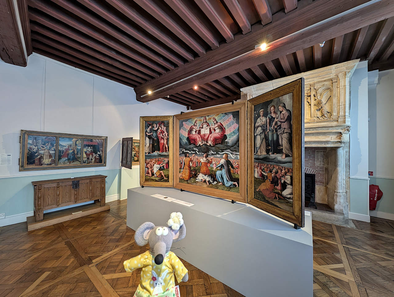 musée de Vauluisant Troyes 1