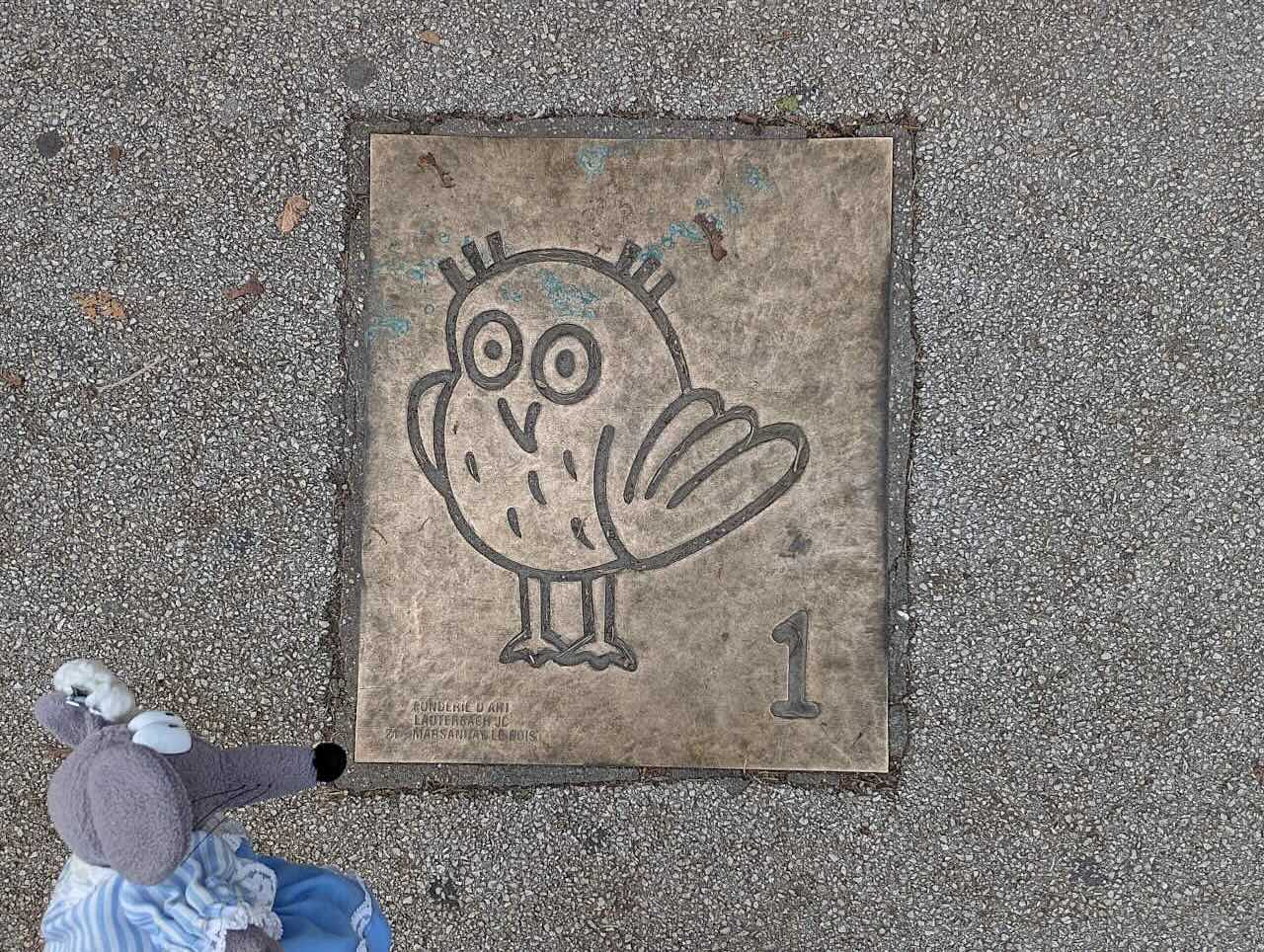 parcours de la chouette Dijon