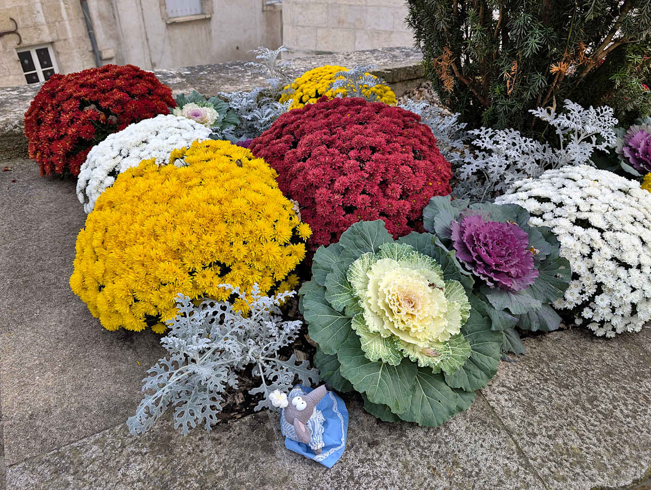place aux Fleurs Dole