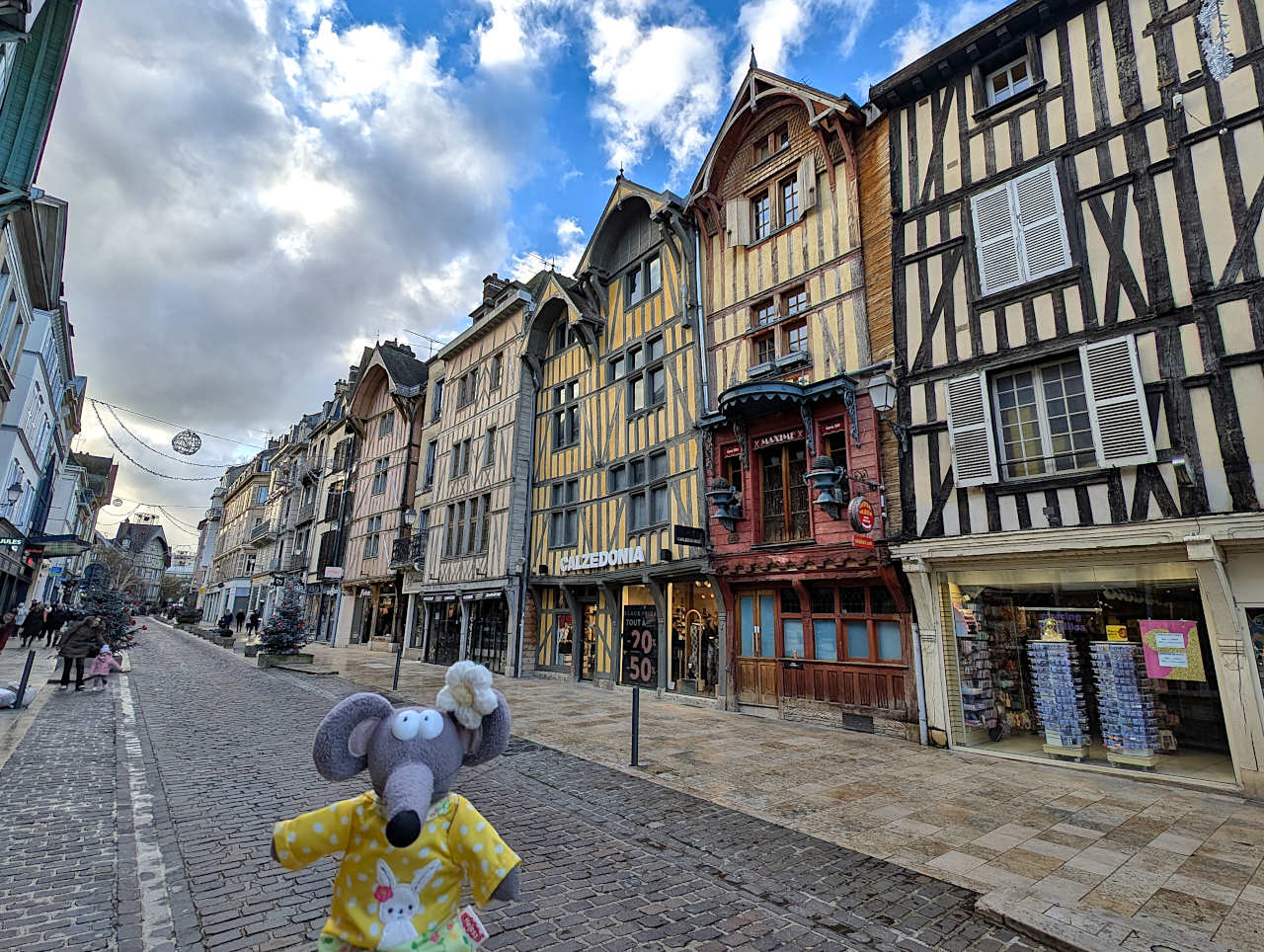 rue Emile Zola à Troyes