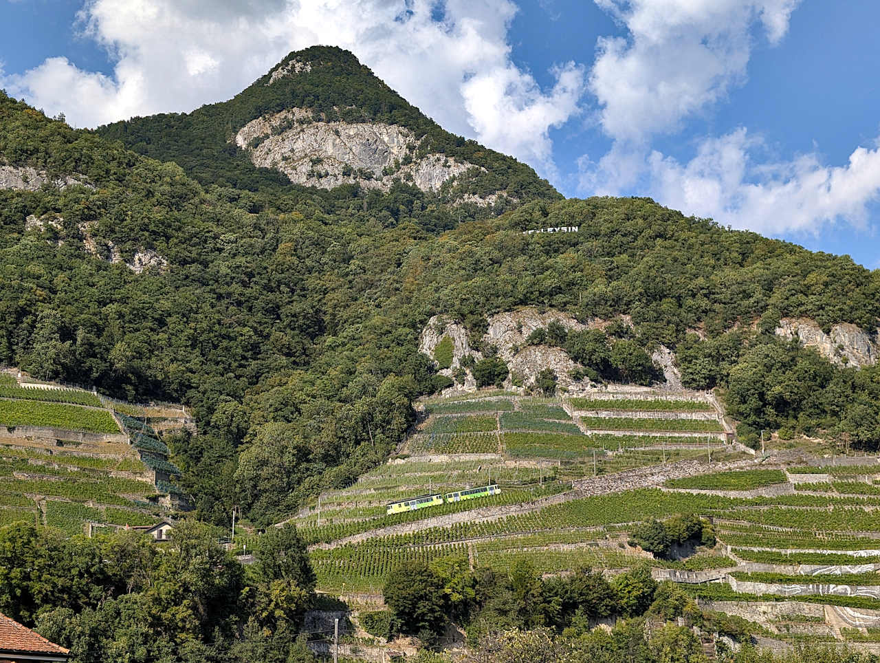 train entre Aigle et Leysin