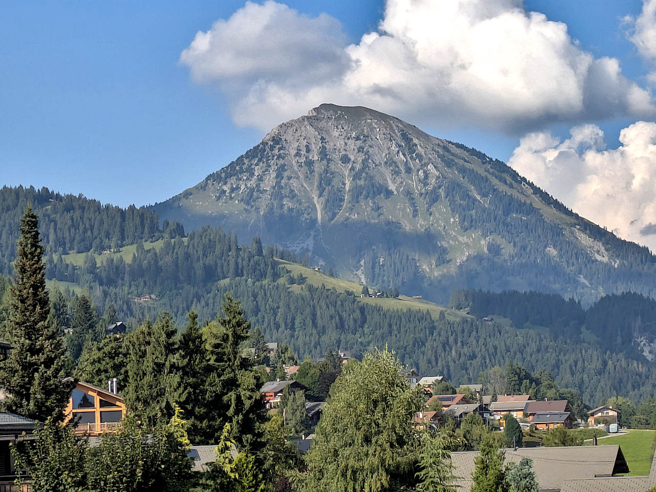 vue depuis Leysin
