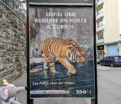 zoo de Zurich
