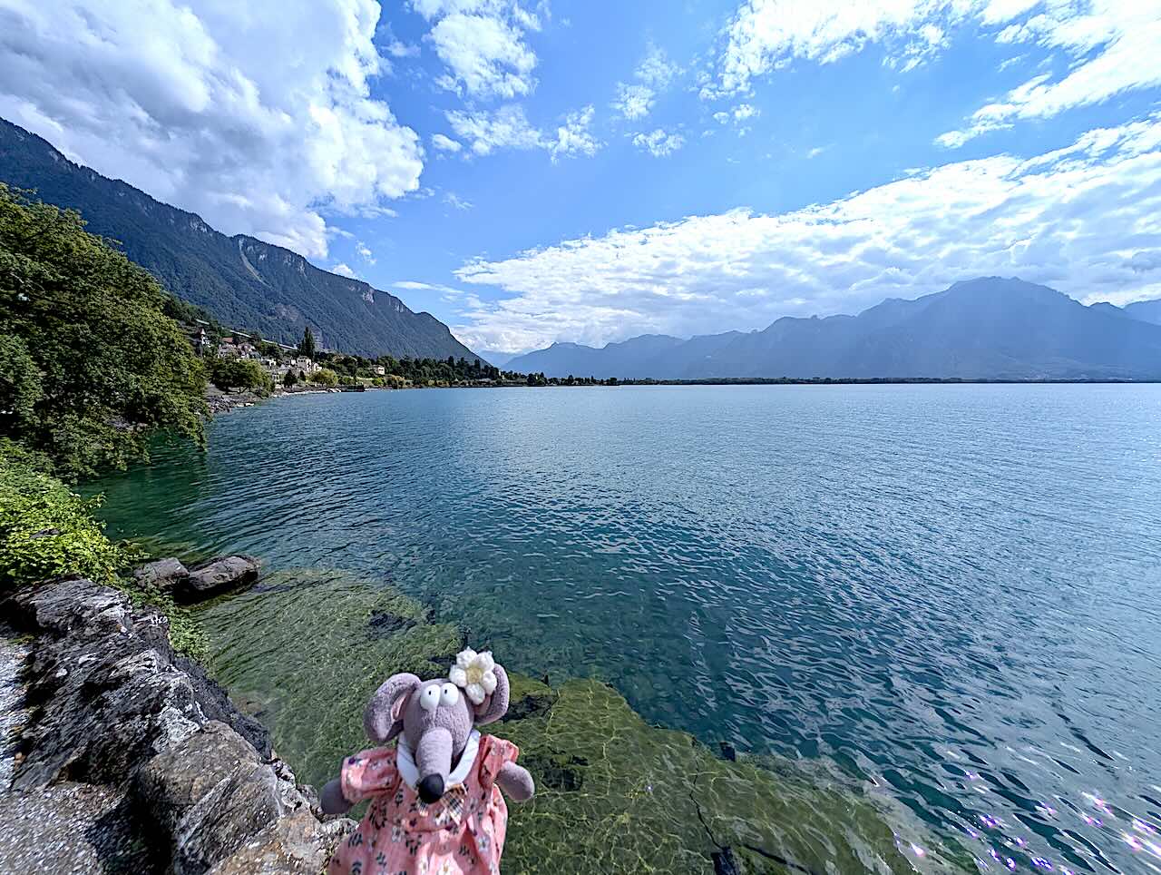 alentours du château de Chillon