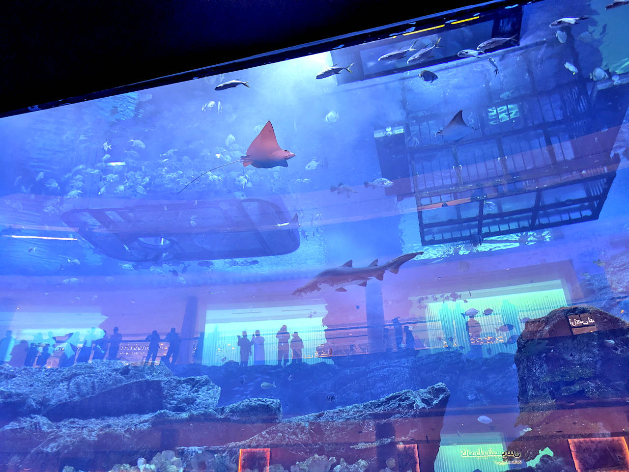aquarium de Dubaï