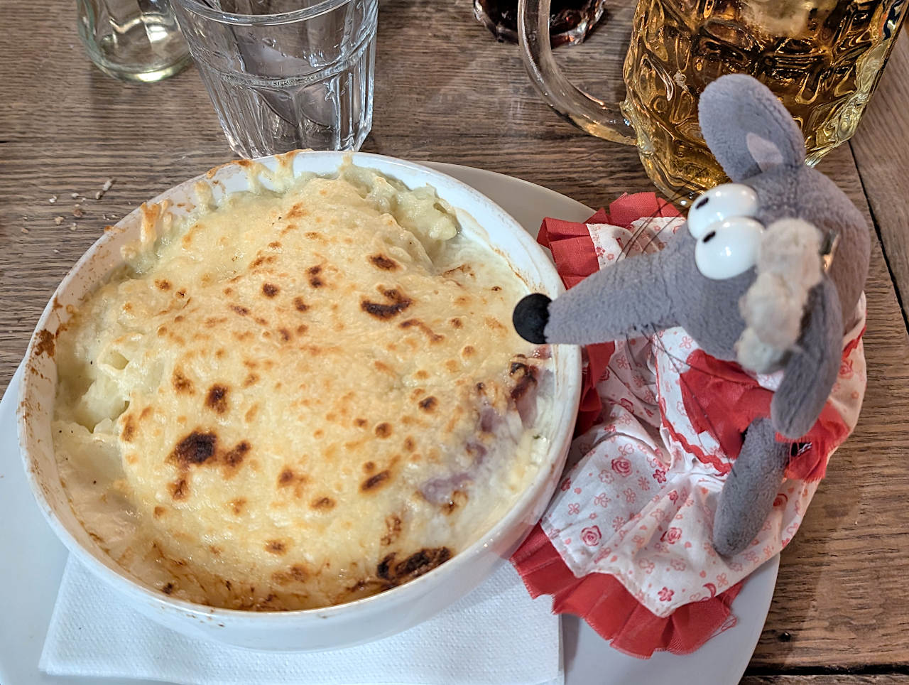 chicons gratinés