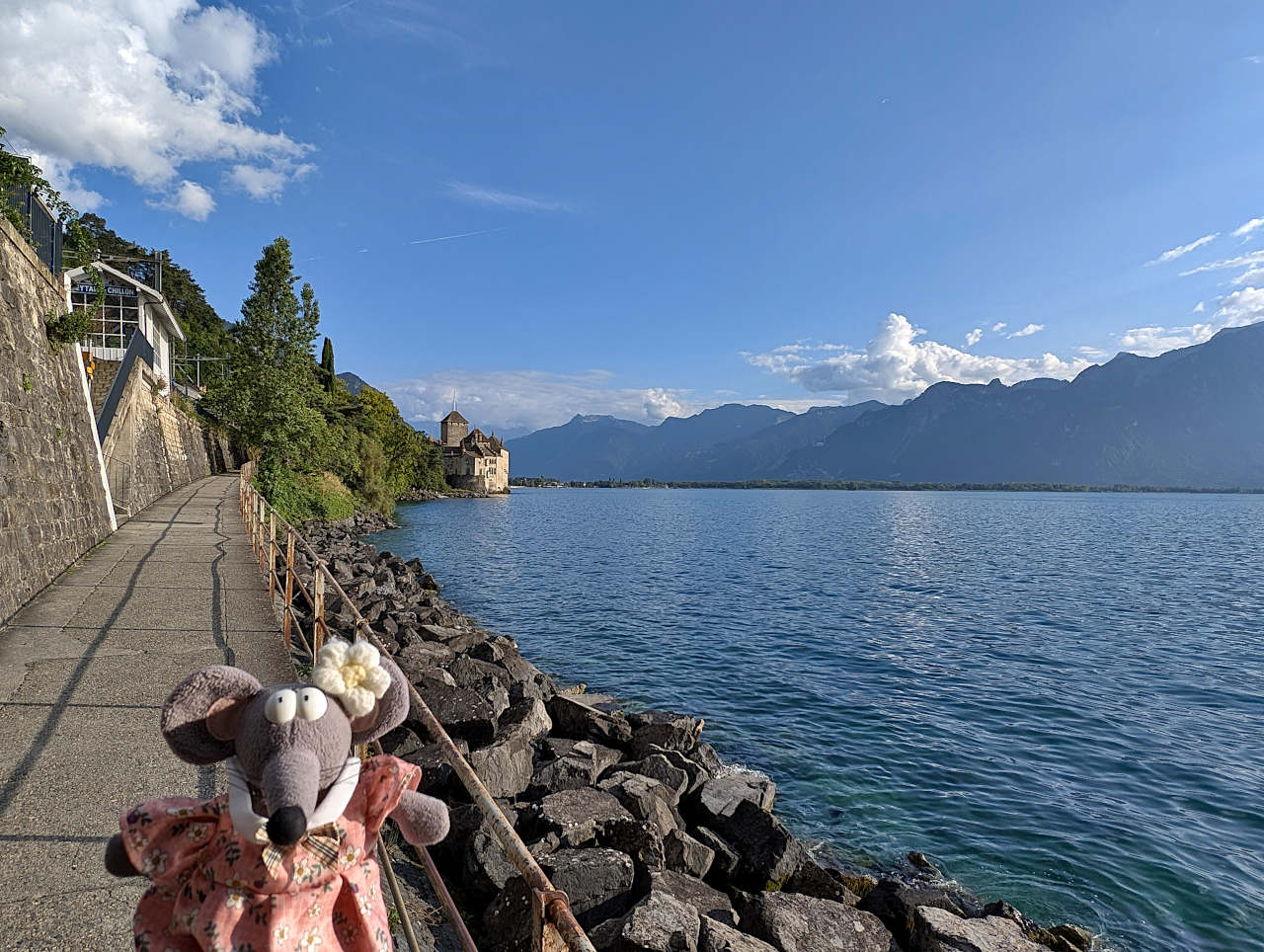 sentier entre Montreux et Chillon