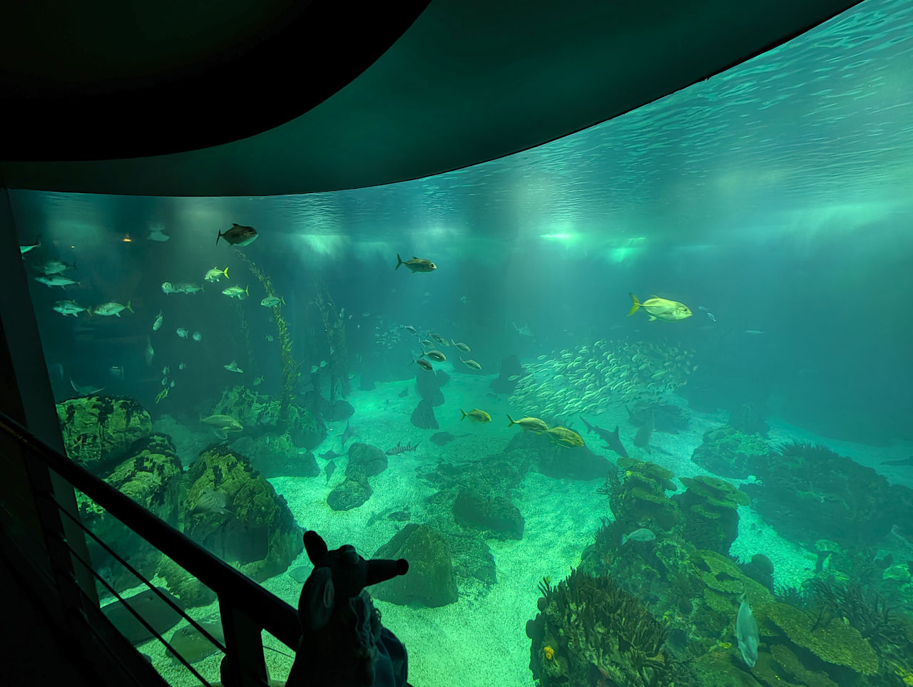 Océanarium de Lisbonne 