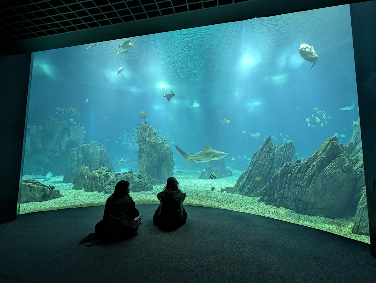 Océanarium de Lisbonne bassin central