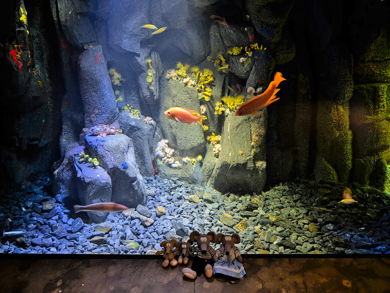 Océanarium de Lisbonne en famille