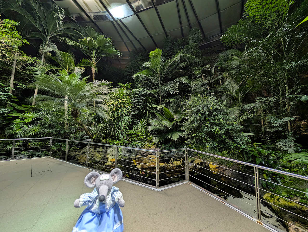 Océanarium de Lisbonne océan indien 1