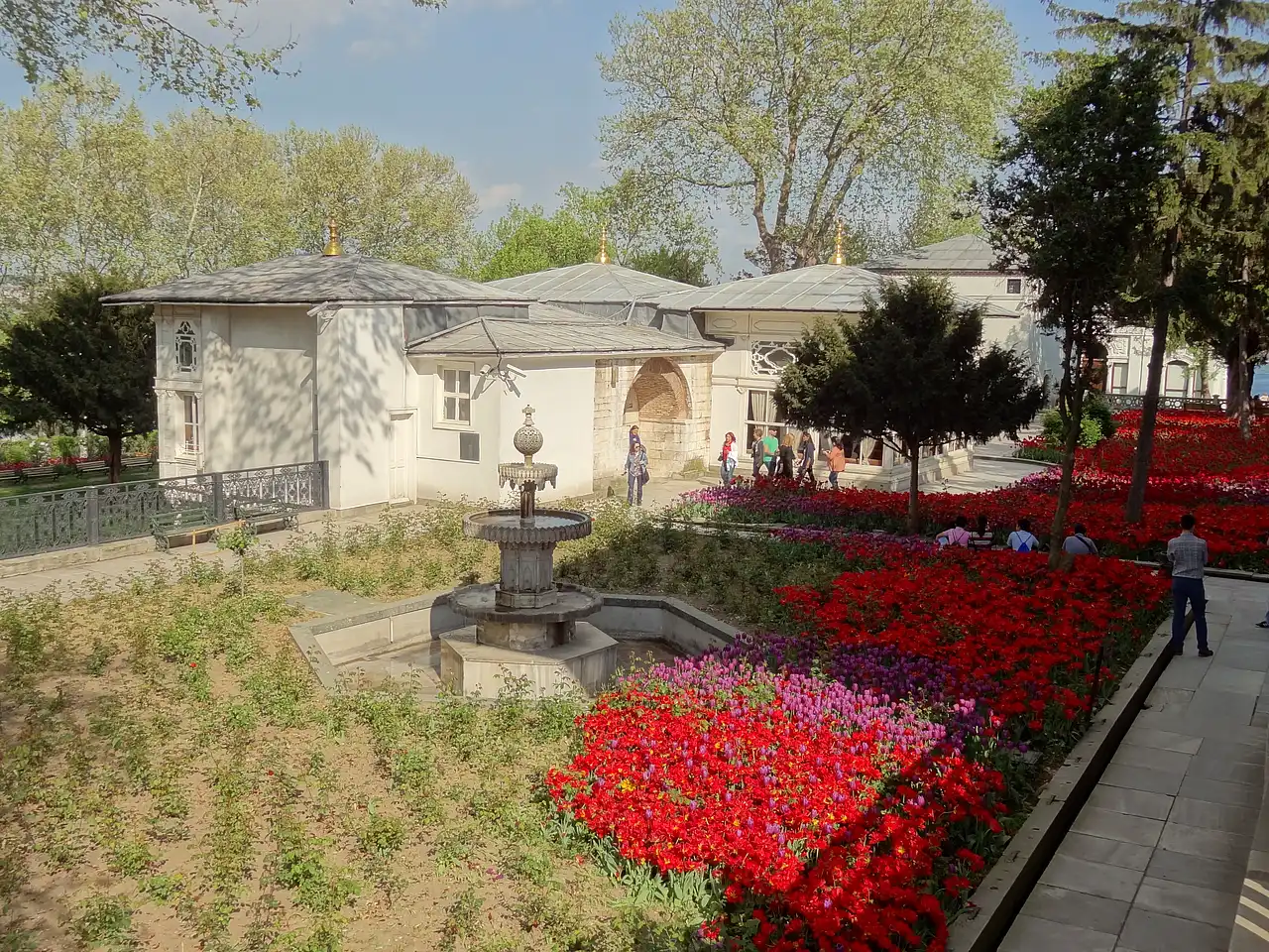 jardin des tulipes à Topkapi