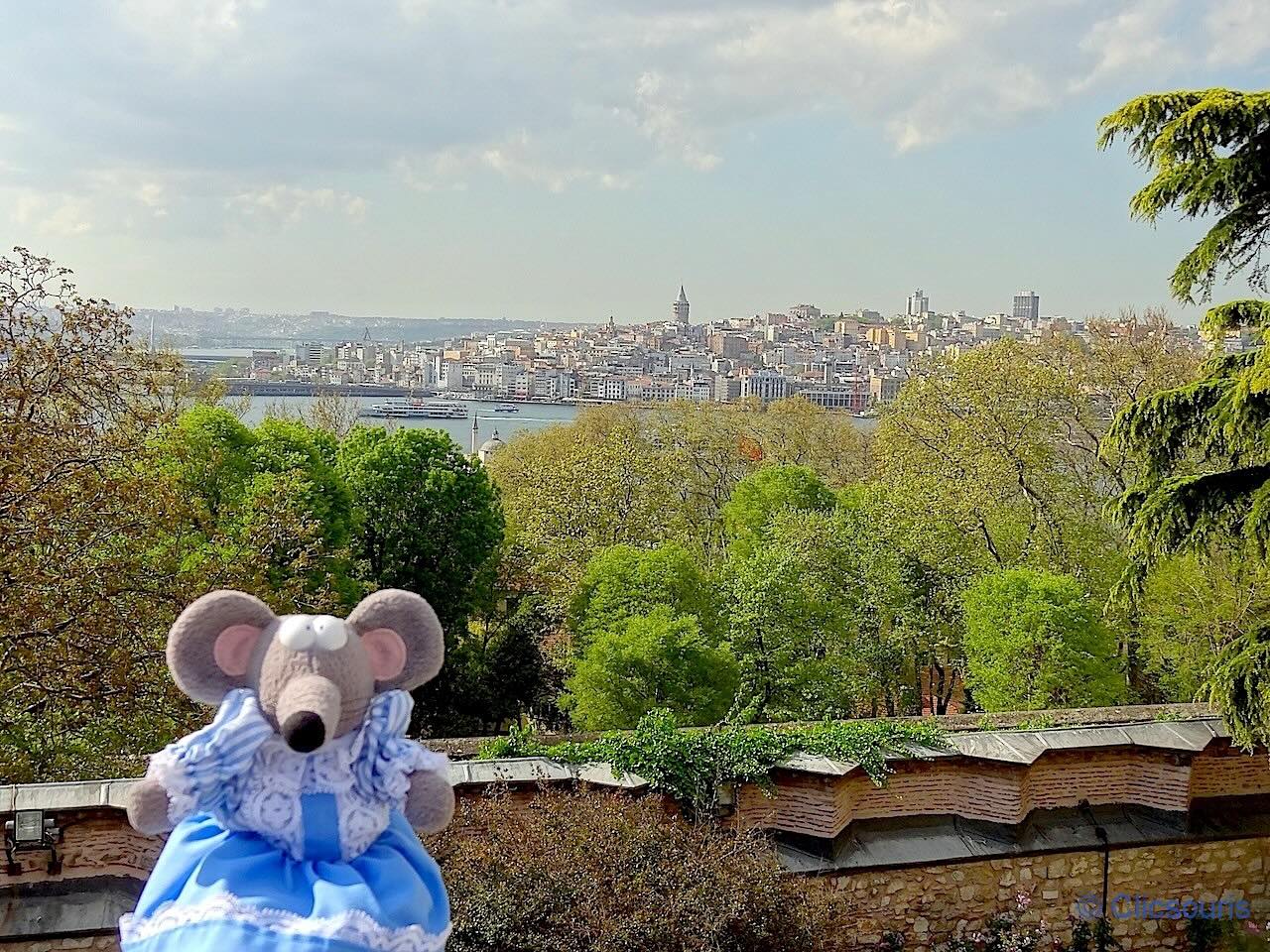 vue sur Galata depuis le palais de Topkapi