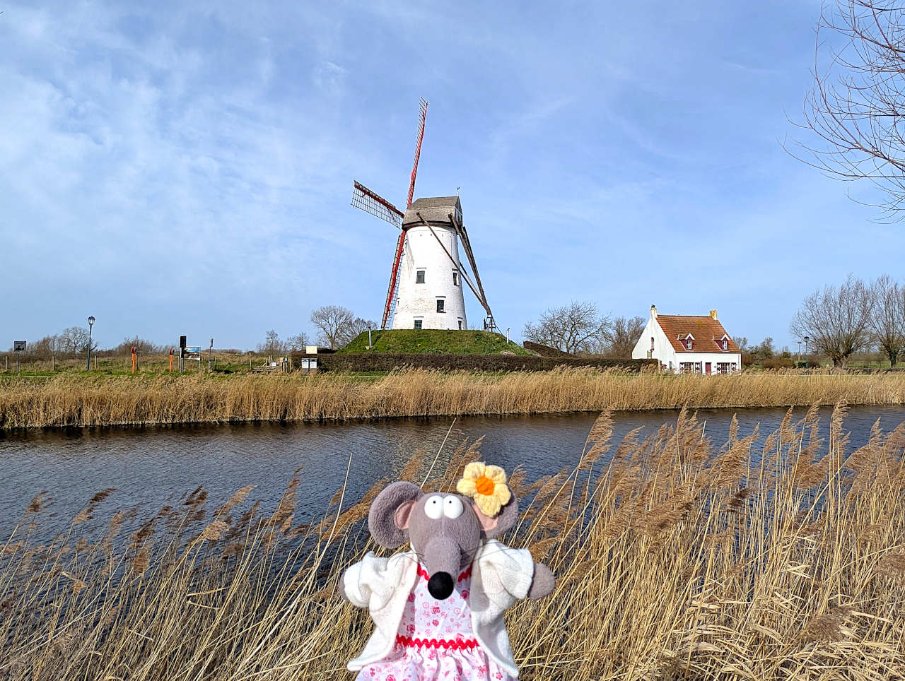 Damme moulin