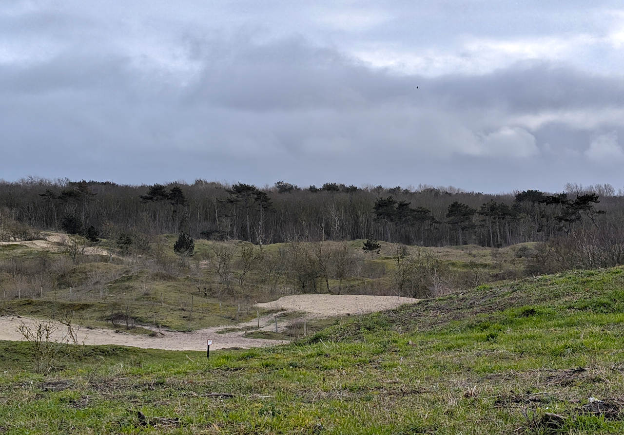 De Haan bois de dunes