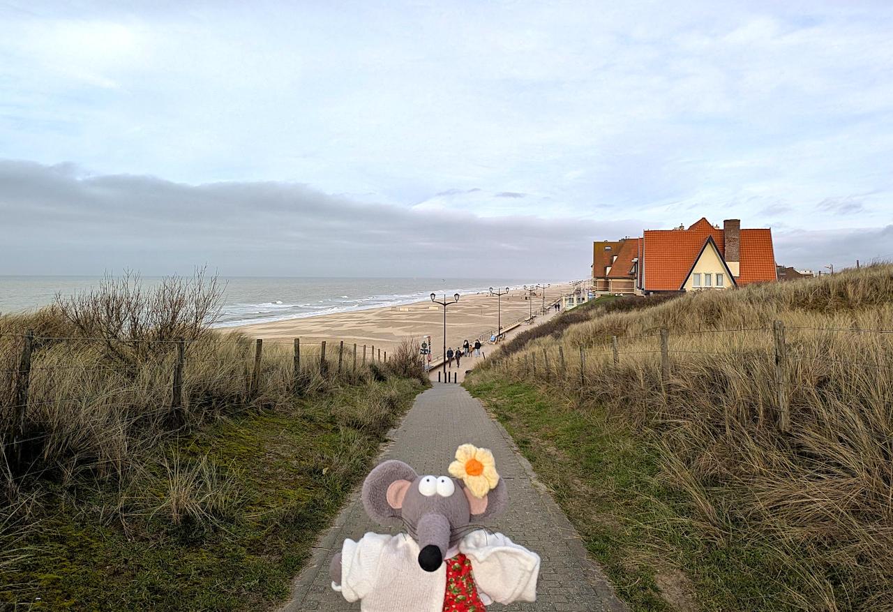 vue le bord de mer de De Haan