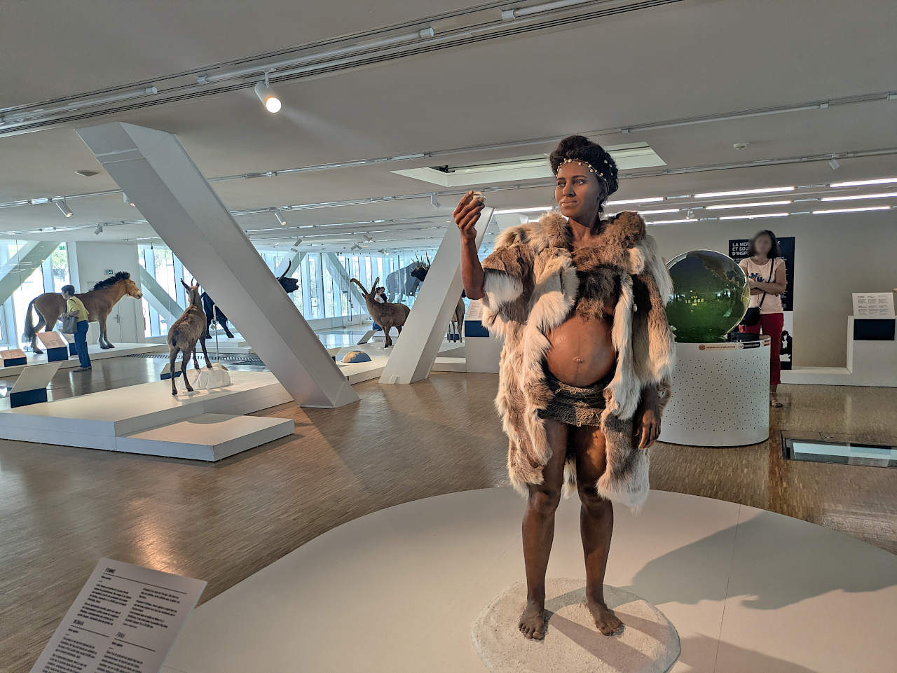 Galerie Méditerranée Cosquer 