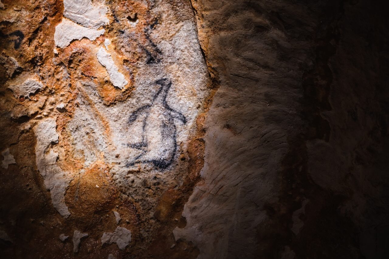 Grotte Cosquer pingouin