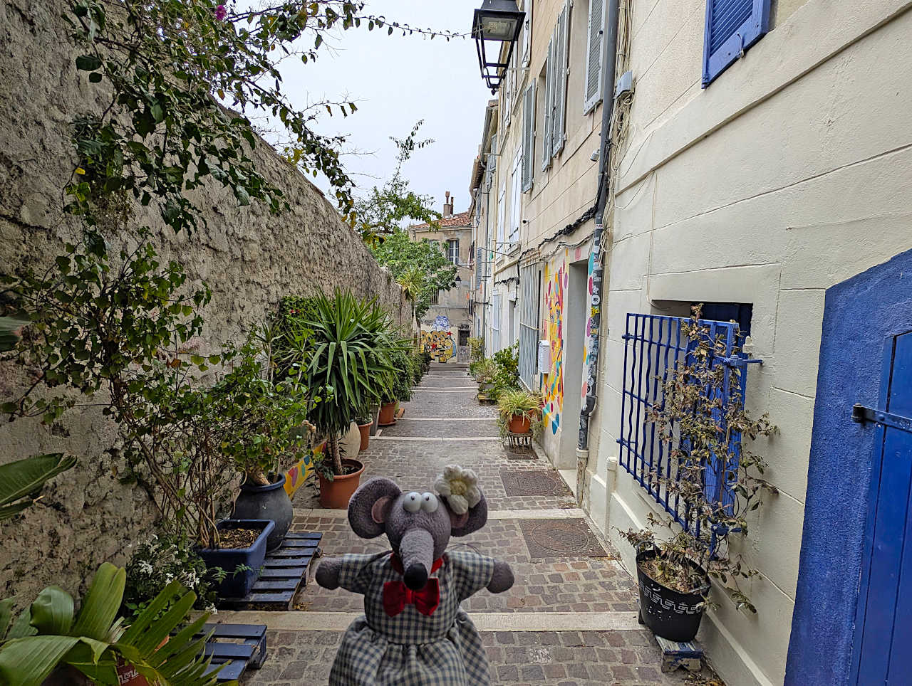 Marseille Panier 4