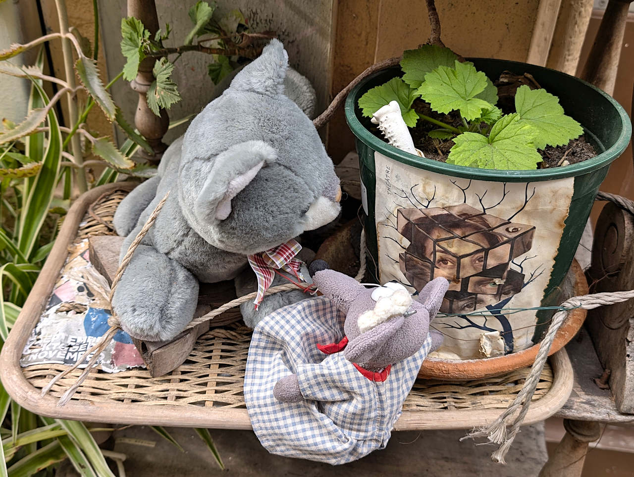 Marseille Panier peluche