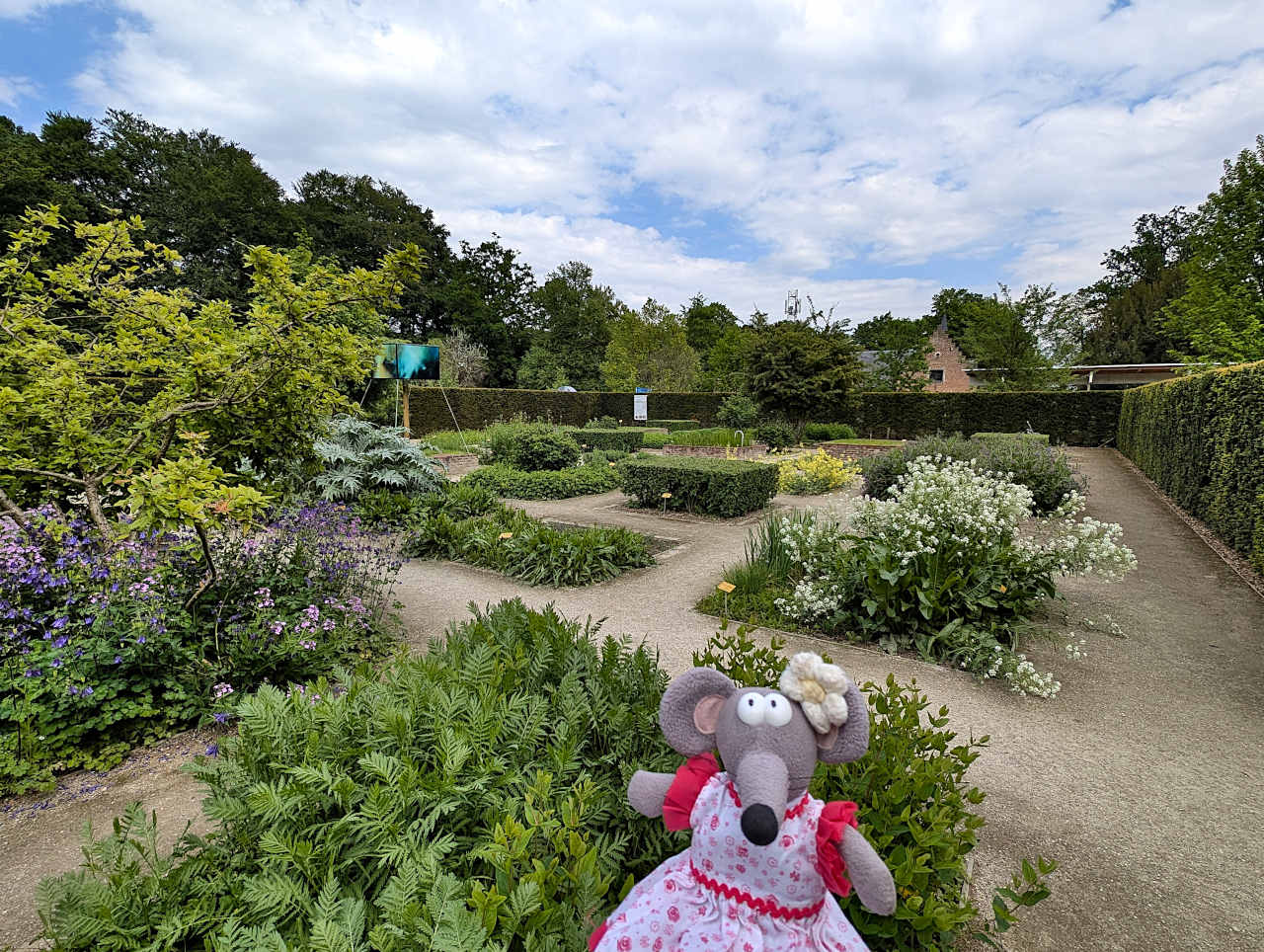 jardin botanique de Meise 2