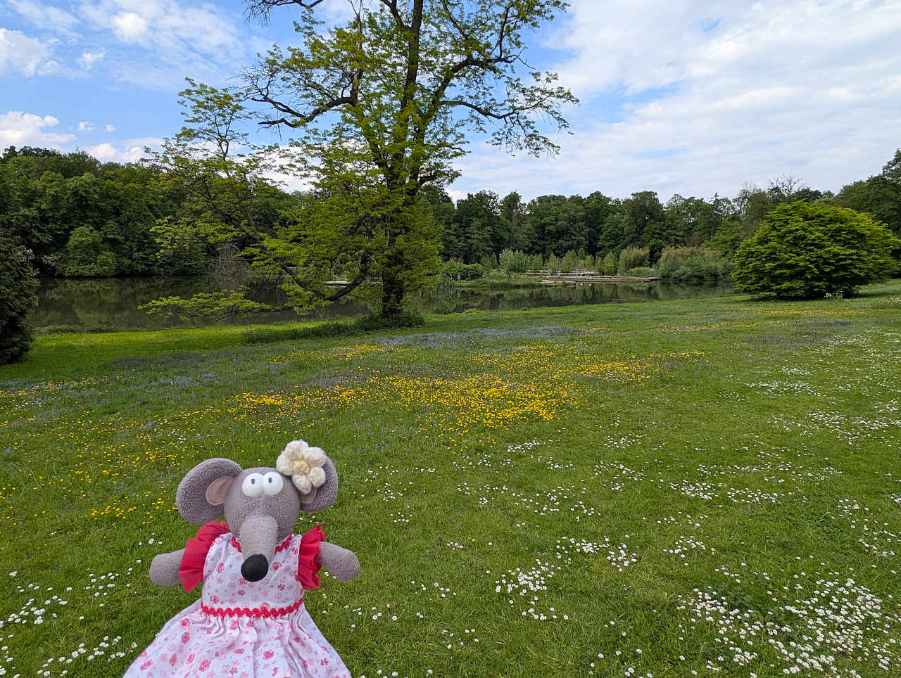 jardin botanique de Meise 3