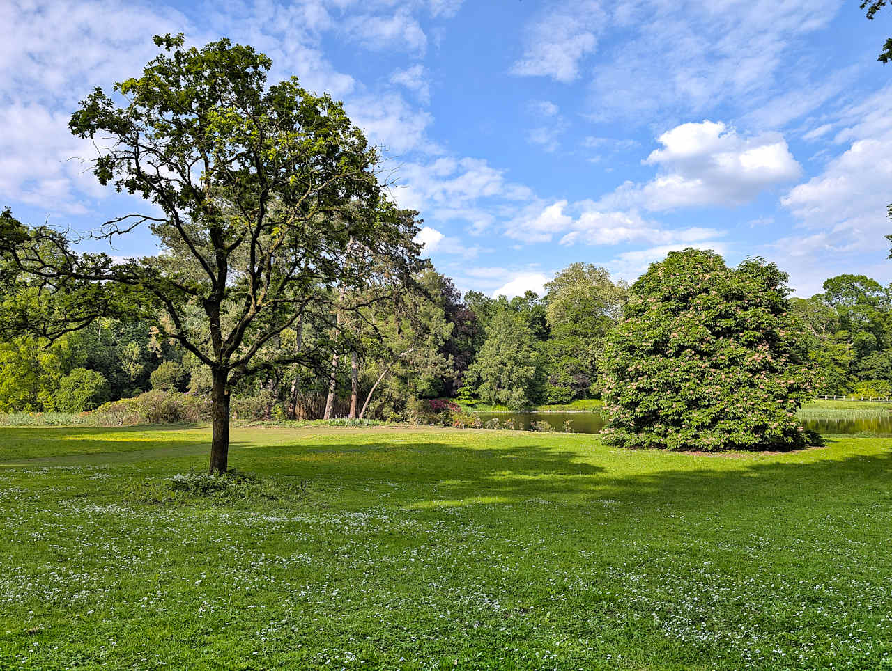 jardin botanique de Meise 4