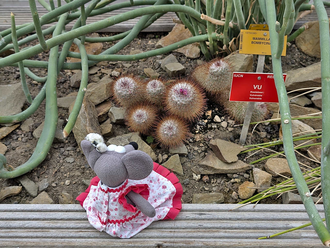jardin botanique de Meise 5