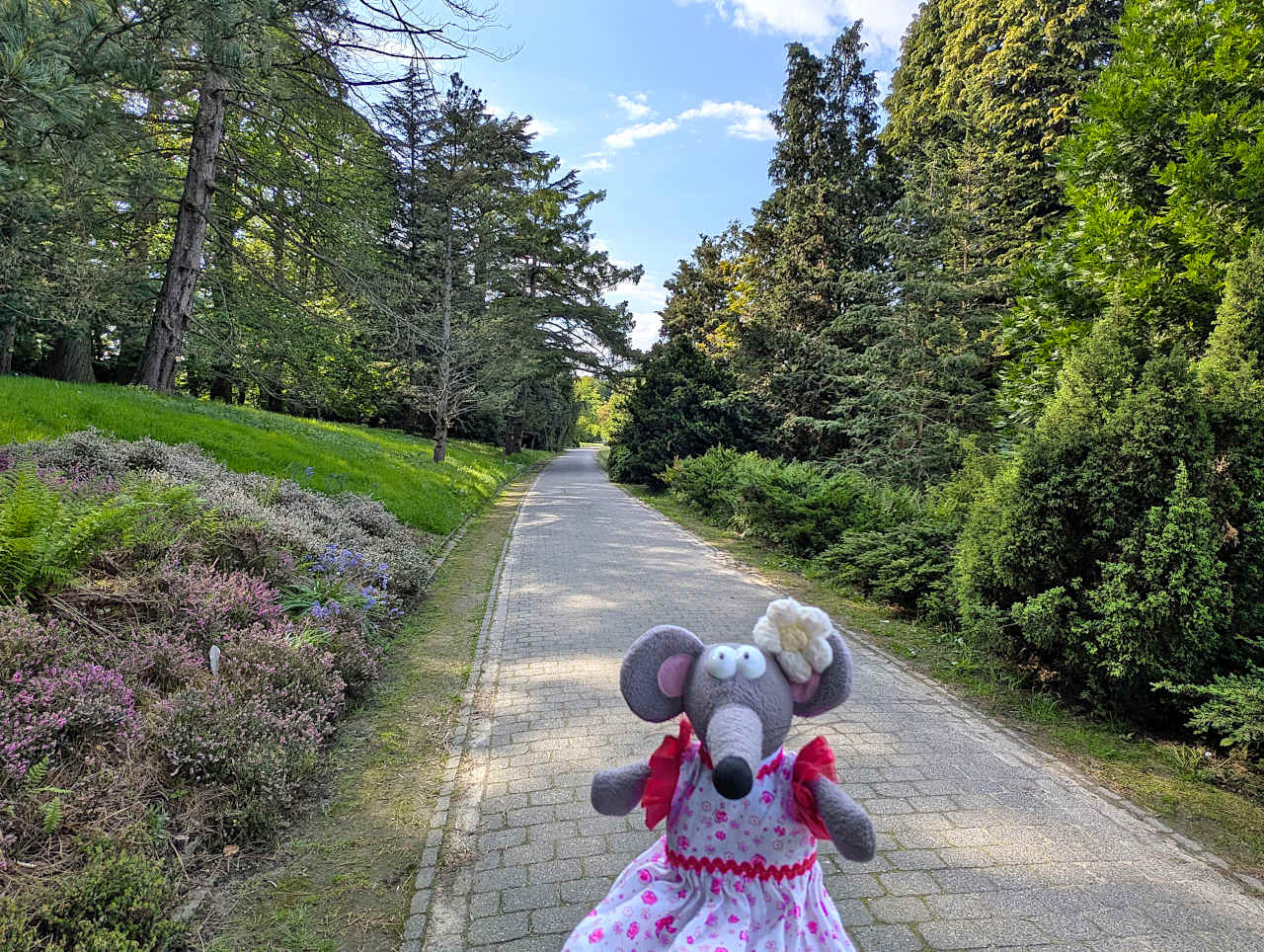 jardin botanique de Meise 6