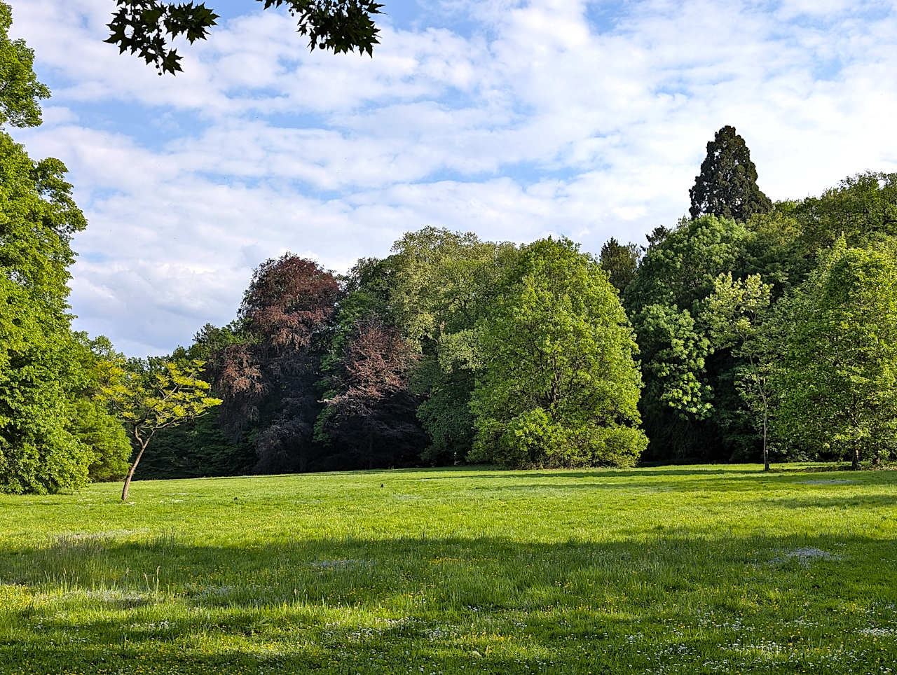 jardin botanique de Meise 8