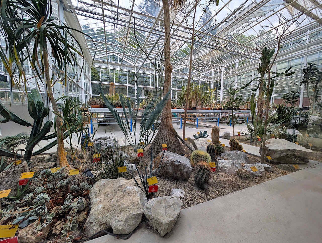jardin botanique de Meise arche verte 1