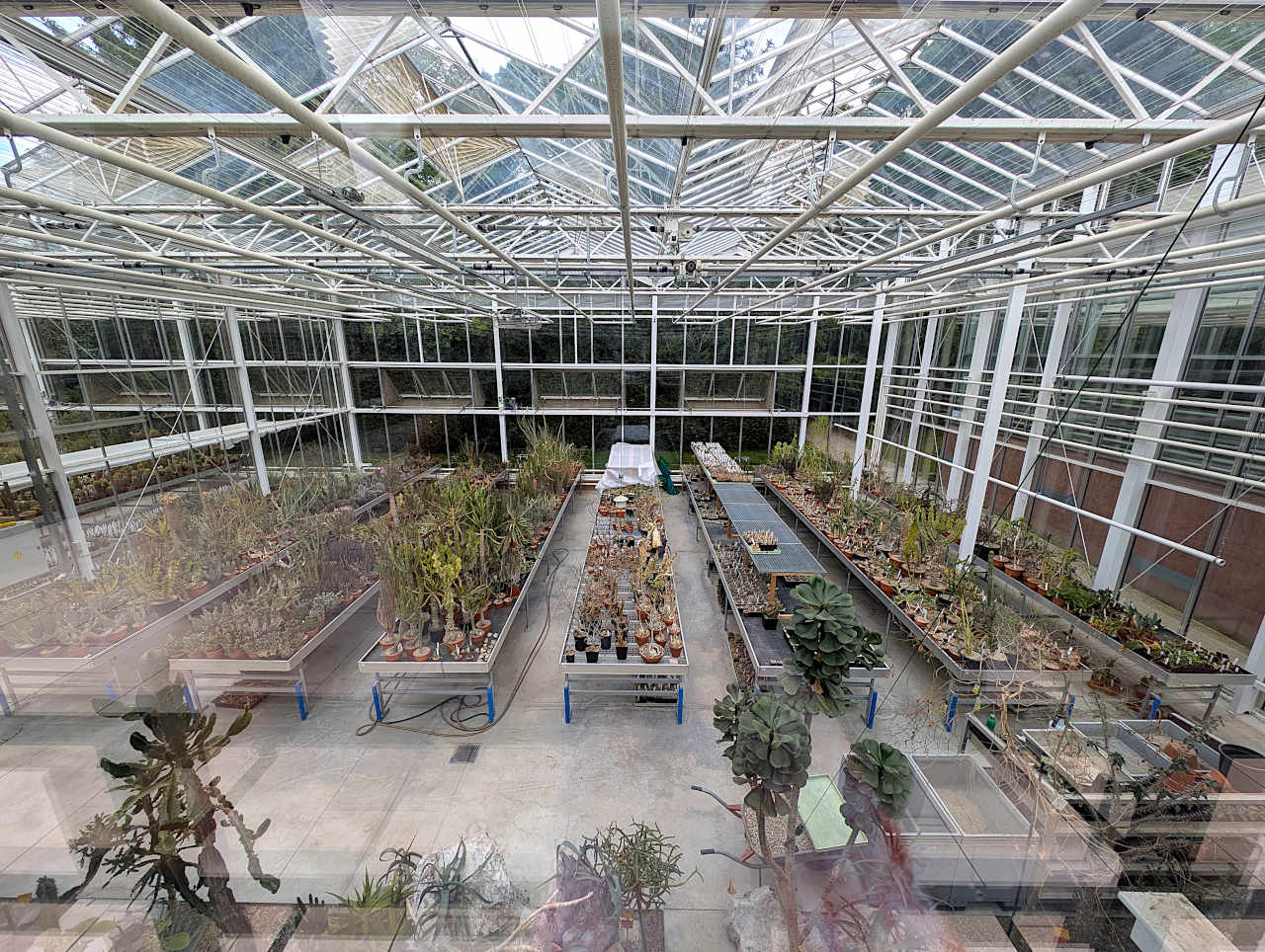 jardin botanique de Meise arche verte 2