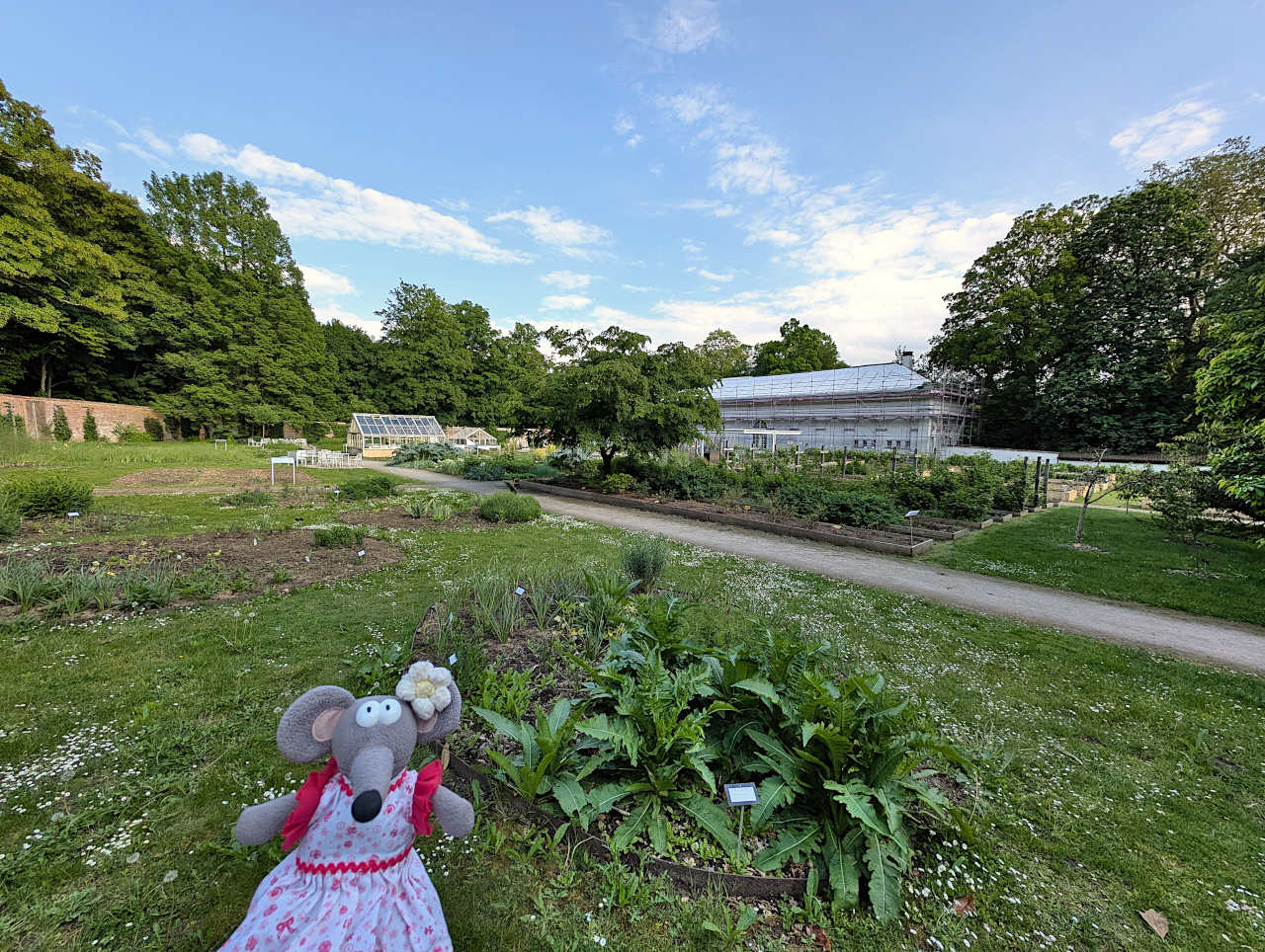 jardin botanique de Meise jardin culinaire
