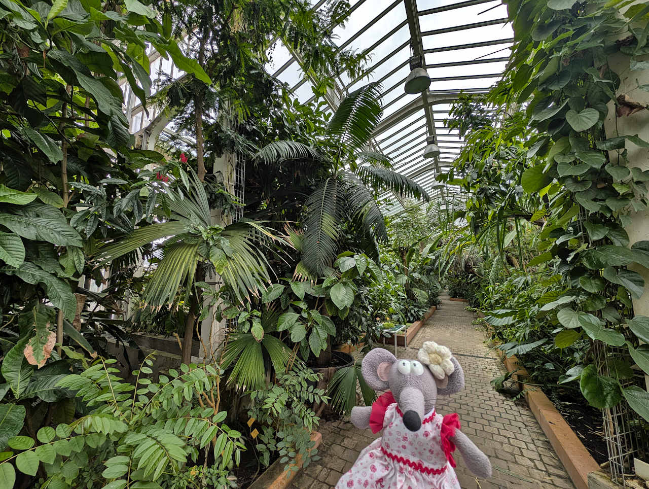 jardin botanique de Meise serre 2