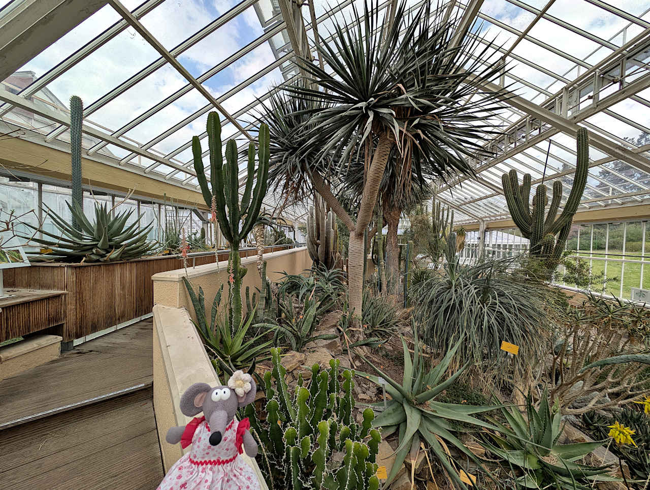 jardin botanique de Meise serre 3
