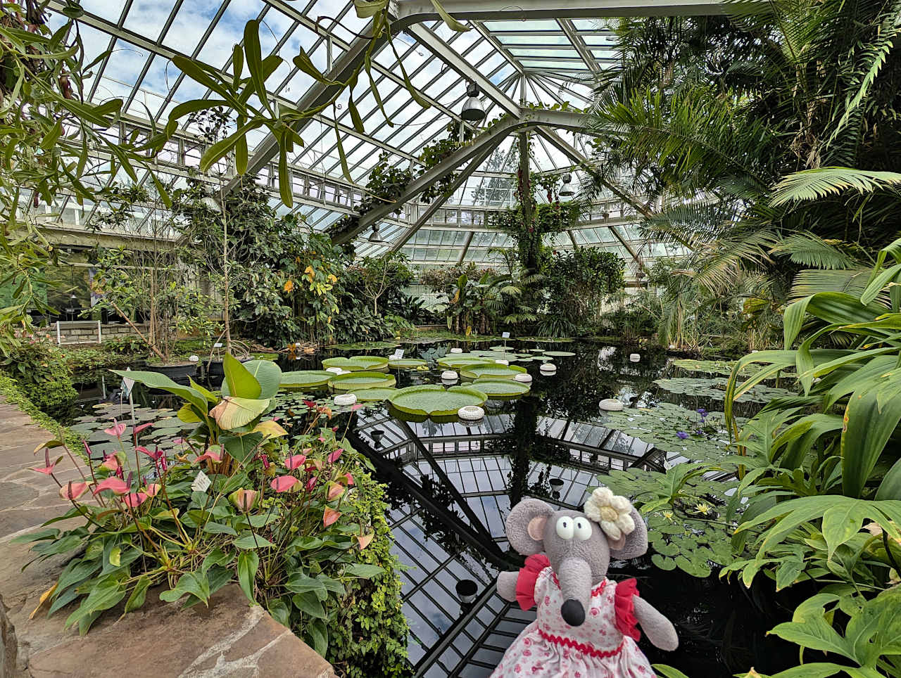 jardin botanique de Meise serre 4