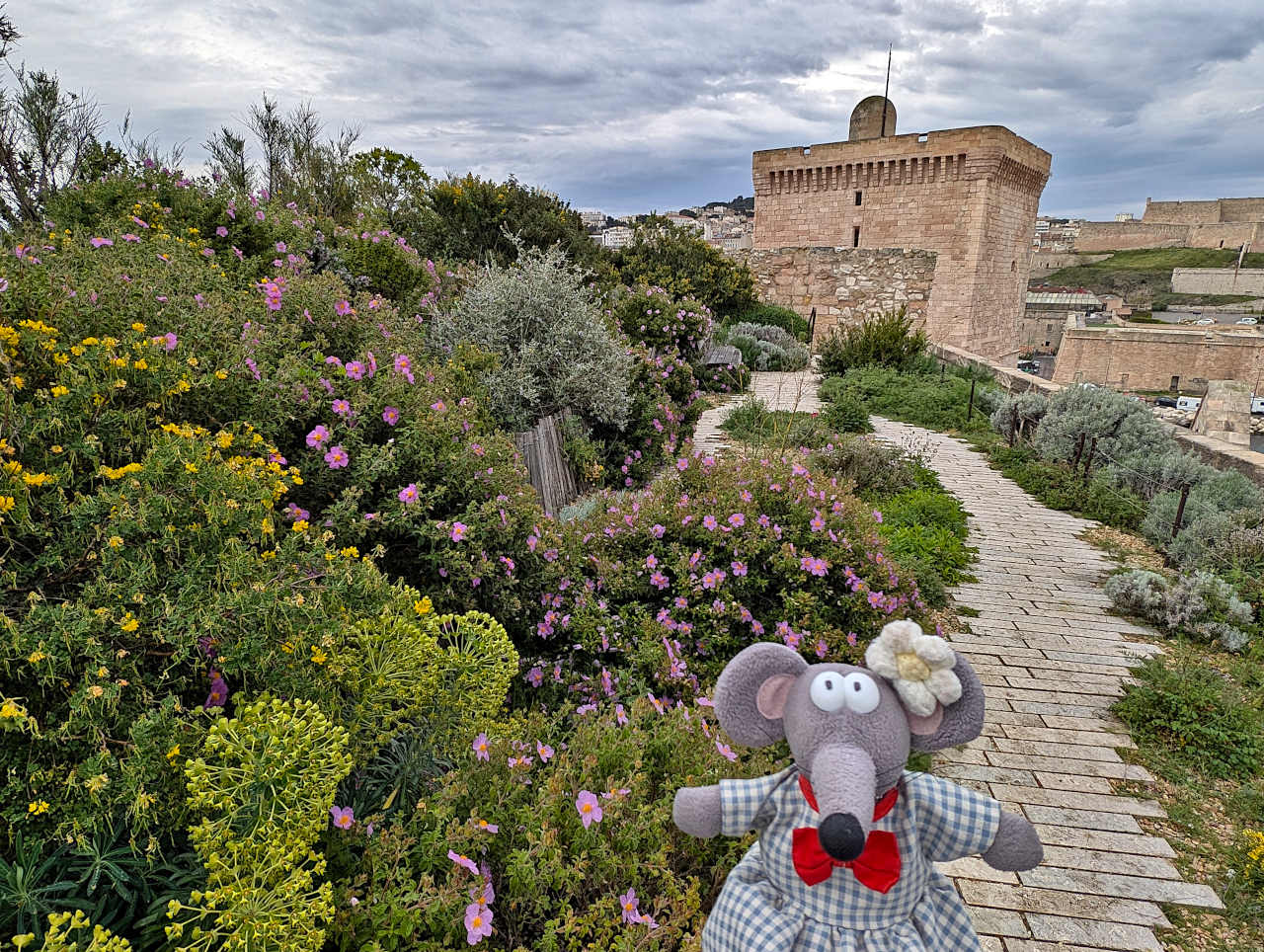 jardin du fort Saint-Jean de Marseille