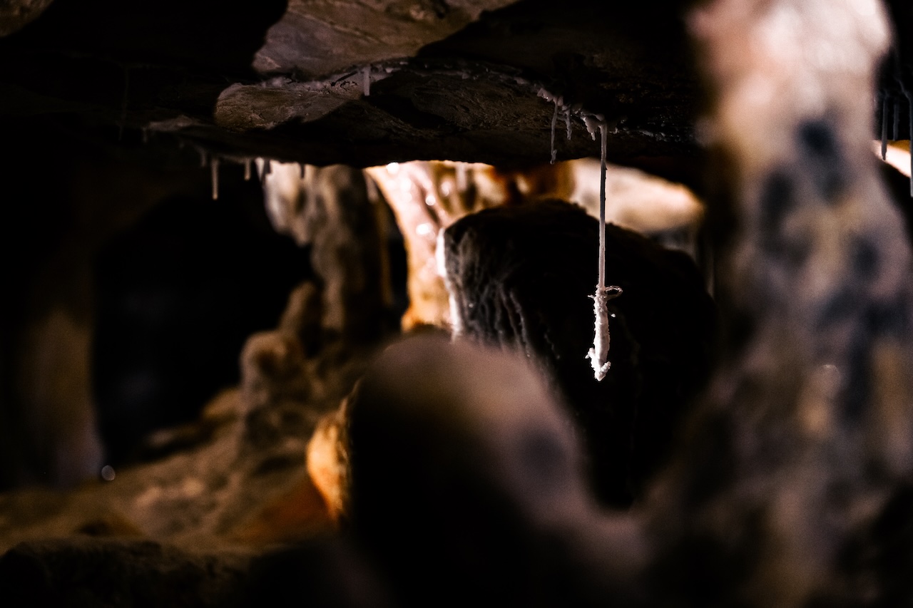 souris Grotte Cosquer