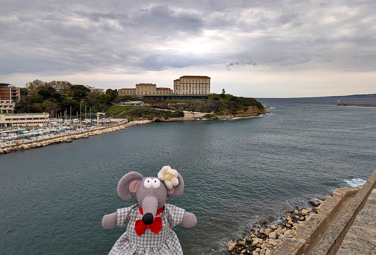 vue sur le Pharo Marseille