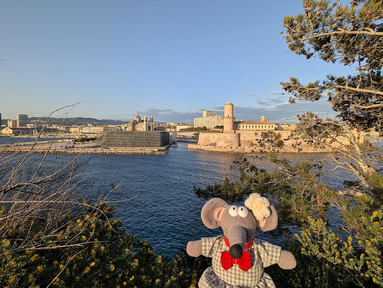 vue sur le Vieux-Port de Marseille depuis le Pharo