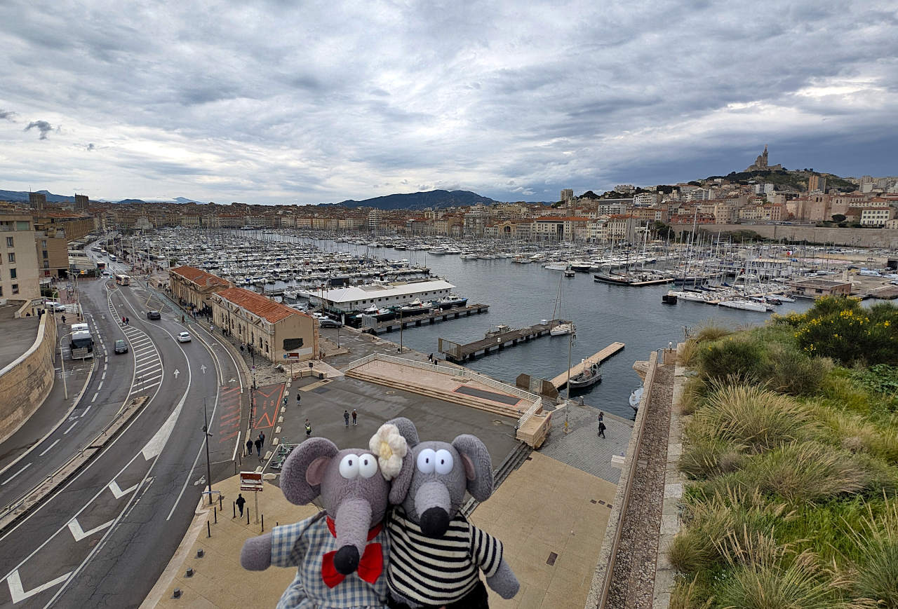 vue sur le vieux-port de Marseille