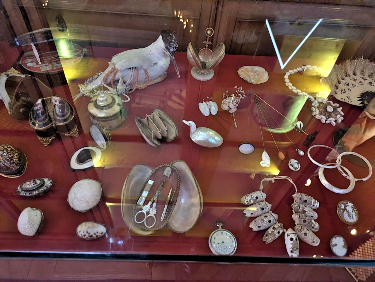 musée océanographique de Monaco cabinet de curiosités 2