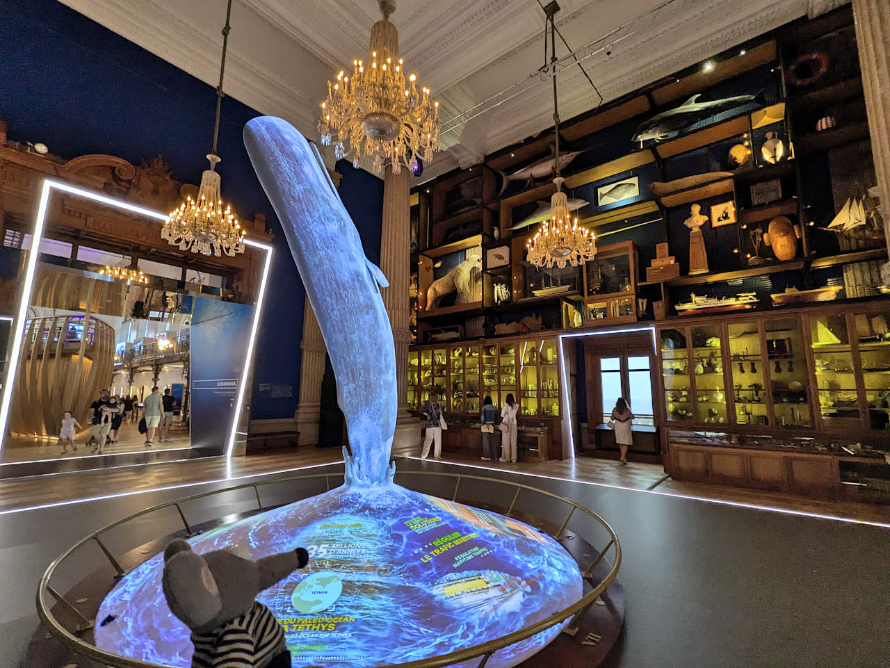 musée océanographique de Monaco cabinet de curiosités