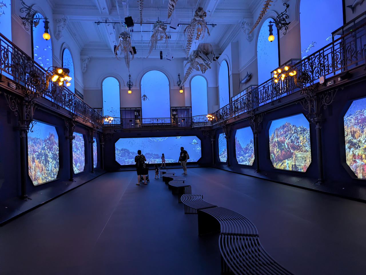 musée océanographique de Monaco salle des baleines 2