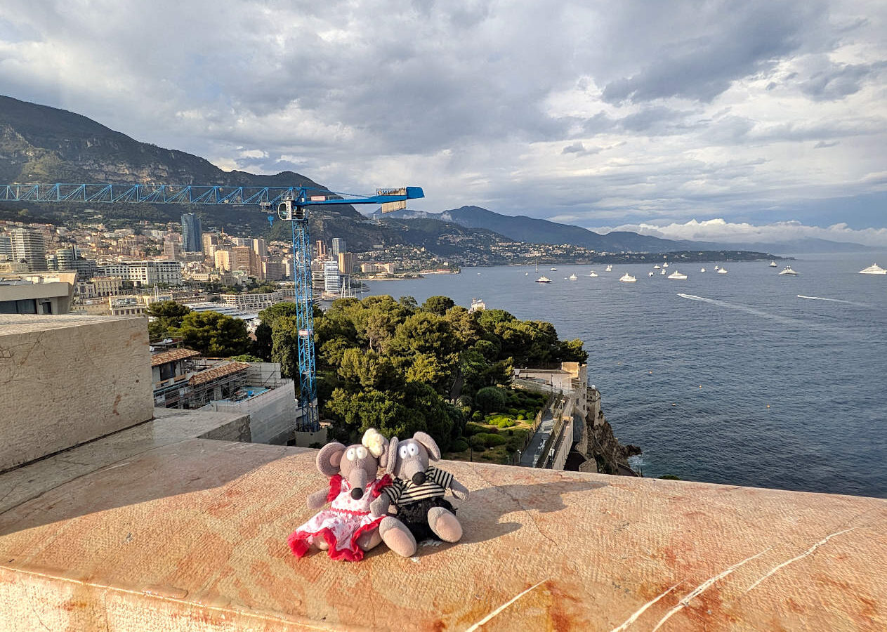 vue depuis le toit-terrasse du musée océanographique de Monaco